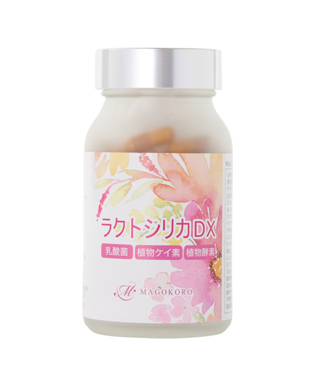 ラクトシリカ DX 120粒