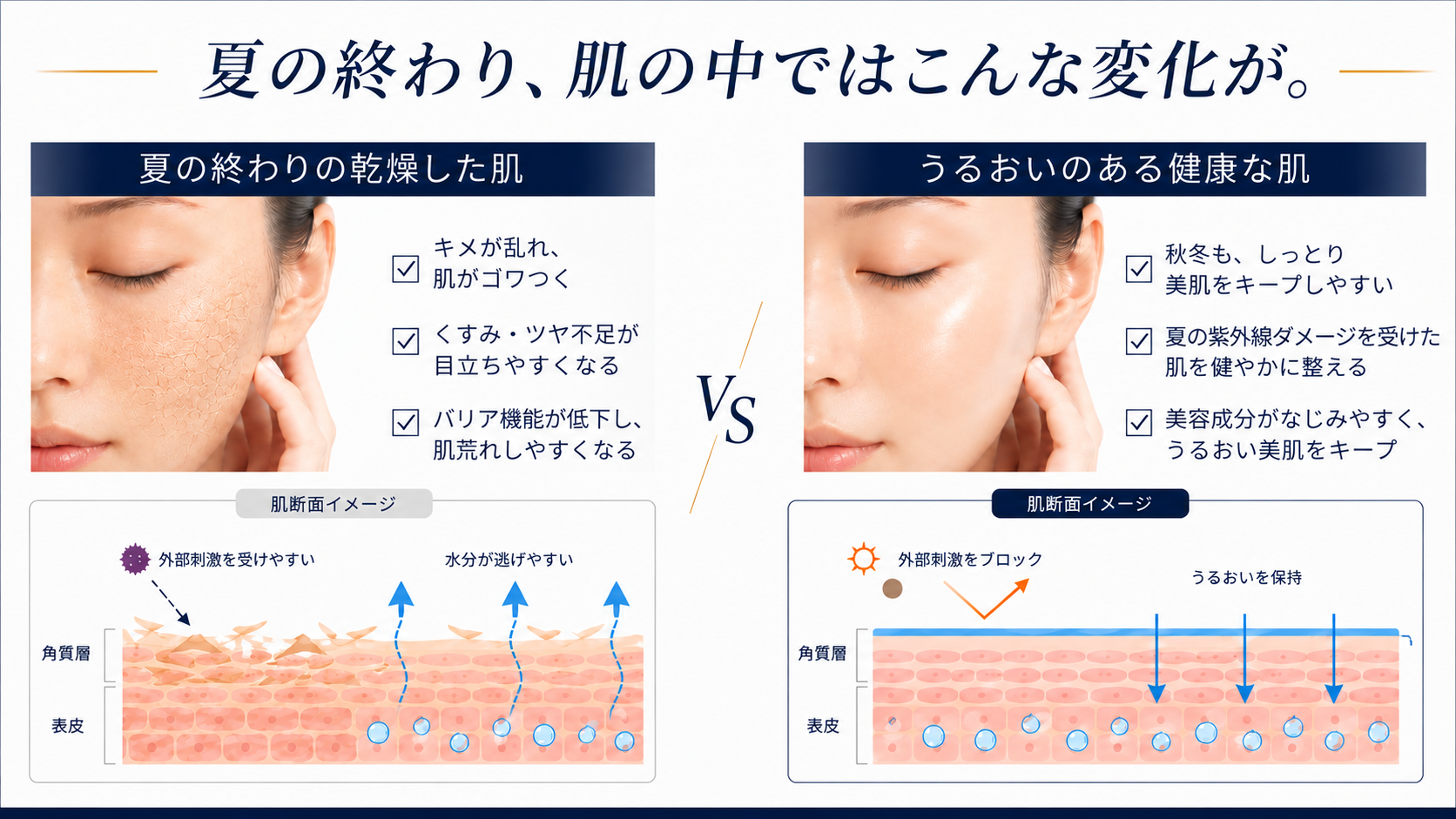 乾燥保湿